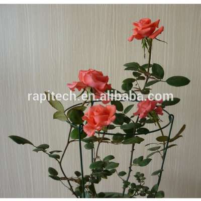 Outdoor Flower Metal Stick Plant Stick Plant Support